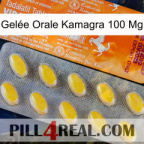 Gelée Orale Kamagra 100 Mg new05